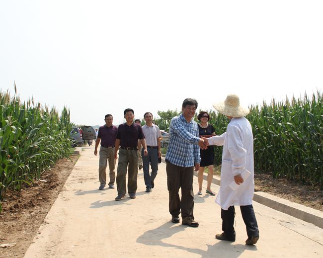 原阳县人口_践土 原阳人应该记住这个名字(3)