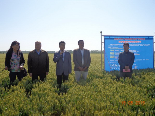 韭园镇人口_韭园镇李集村