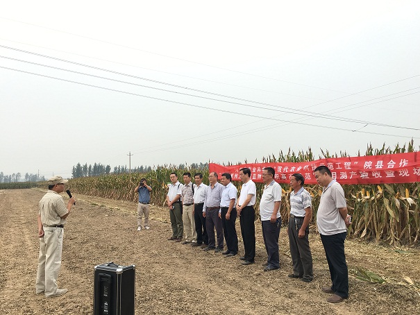 延津县人口_延津县举行社区服刑人员入矫宣誓仪式