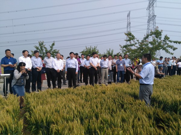 延津县城人口多少_延津火烧