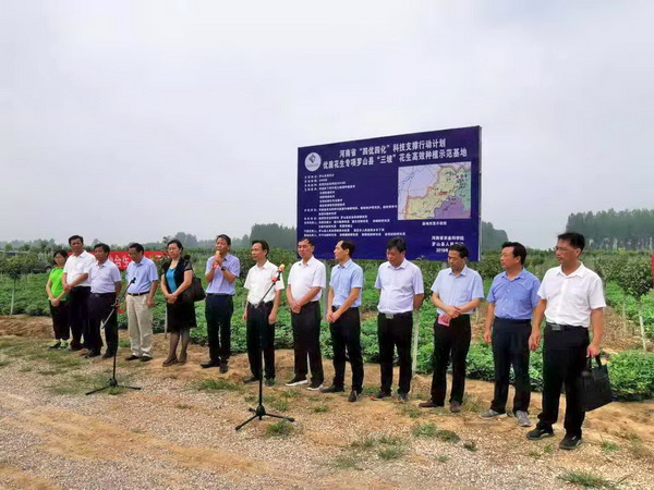 罗山县高店乡人口多少_罗山县山店乡(3)