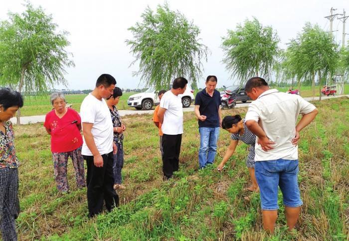 致富种植什么比较赚大钱_致富种植创业项目_种植致富经