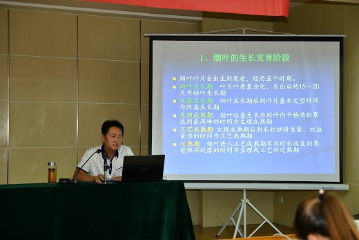 孟智勇副研究员