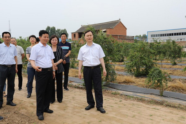 济源市市长石迎军到市农科院调研