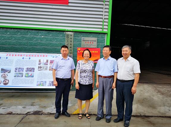 首页>新闻中心>最新信息2019年8月8-10日在卢氏县召开.