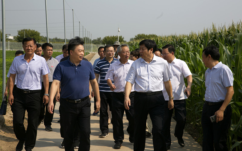 省农业农村厅副厅长陈金剑一行到我院河南现代农业研究开发基地调研