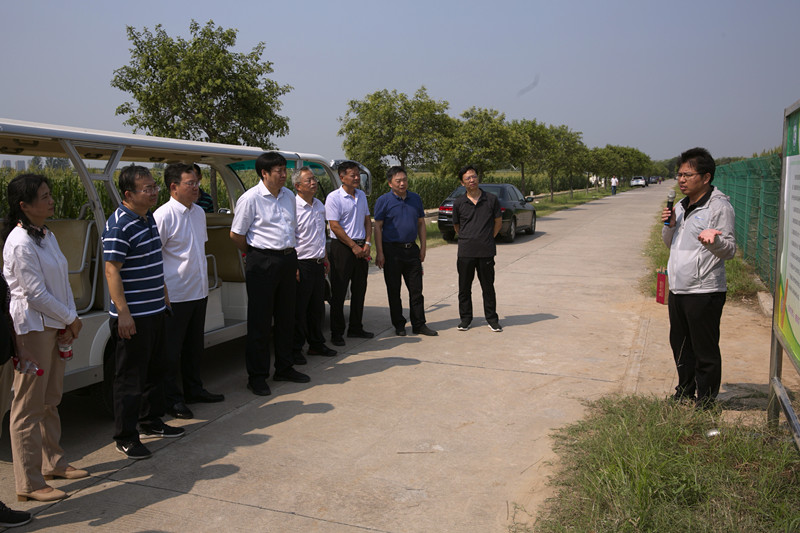 省农业农村厅副厅长陈金剑一行到我院河南现代农业研究开发基地调研
