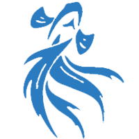 媒体关注